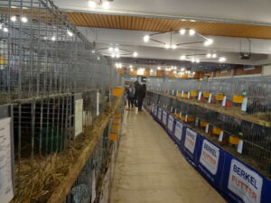 Dorf Bühne - Landkreis Höxter